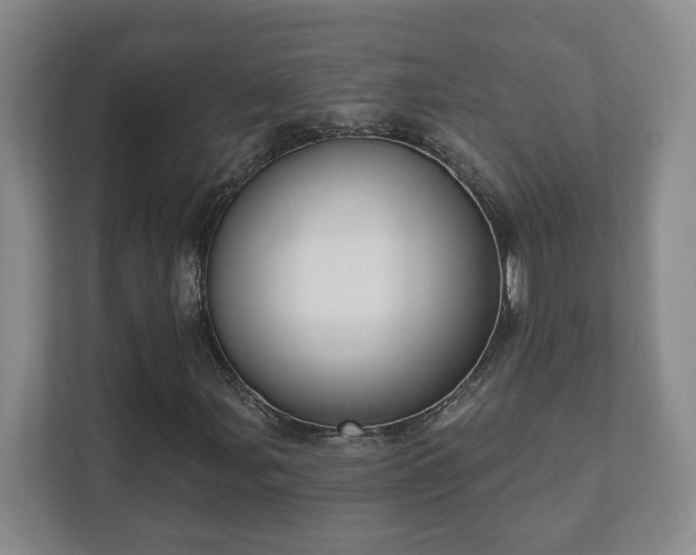 X0000112391107200908201536