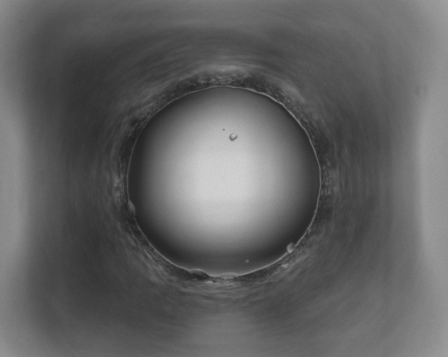 X0000112391109200908201536