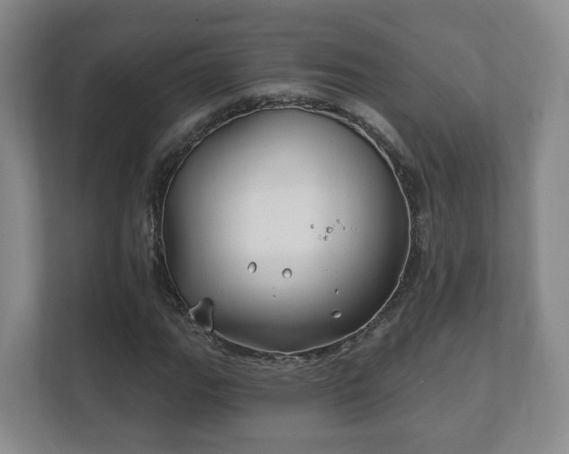 X0000112391111200908201536