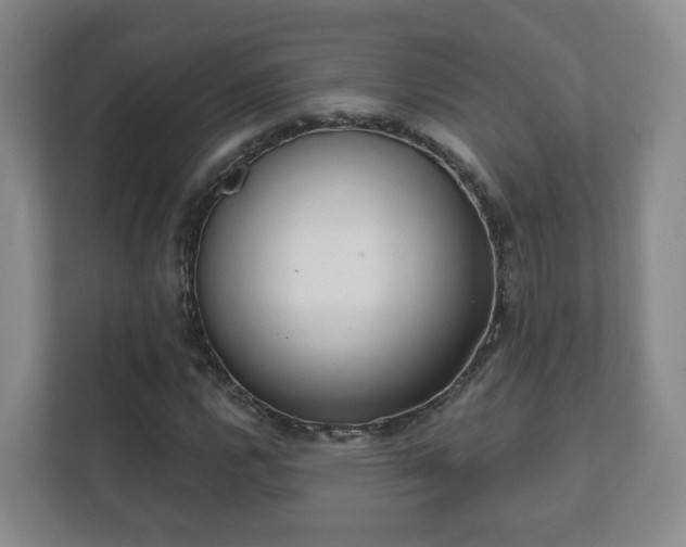 X0000112391112200908201536