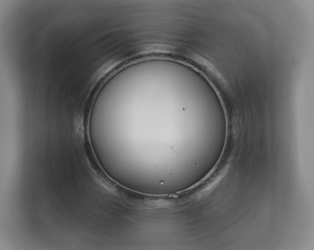 X0000112391113200908201537