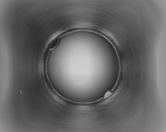 X0000112391114200908201537