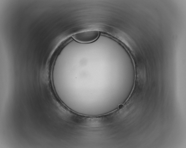 X0000112391116200908201537