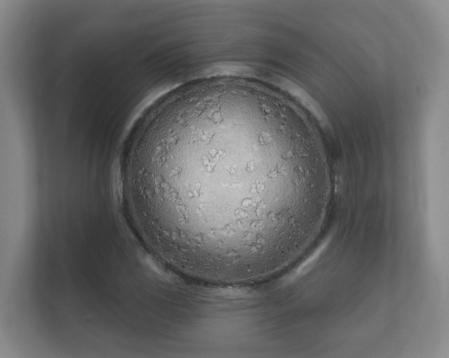 X0000112391117200908201537