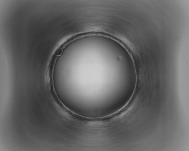 X0000112391118200908201537