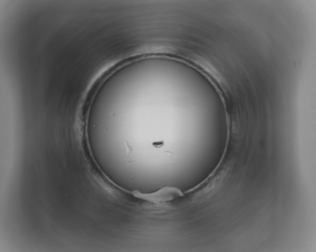 X0000112391119200908201537