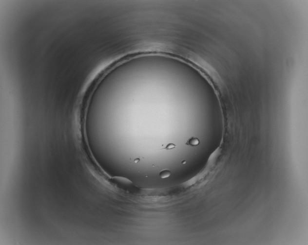 X0000112391120200908201537