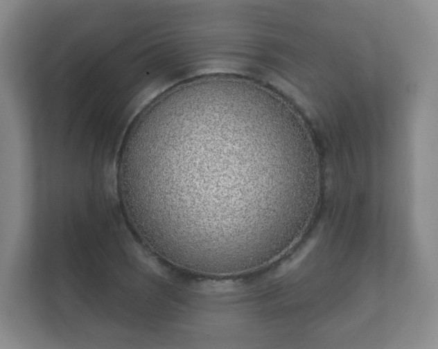 X0000112391121200908201537