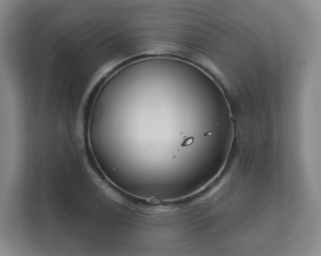 X0000112391122200908201537