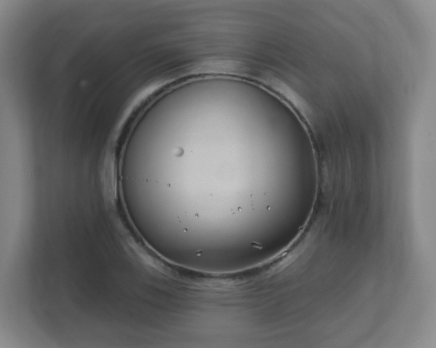 X0000112391123200908201537