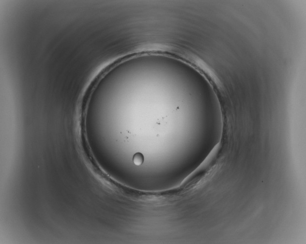 X0000112391124200908201537