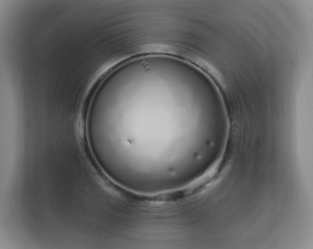 X0000112391125200908201537