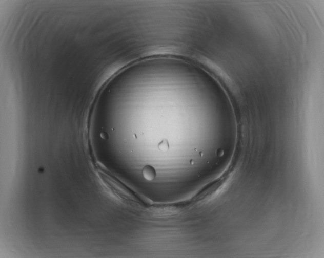 X0000112391129200908201537