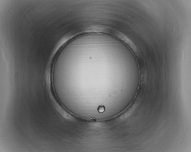 X0000112391130200908201537