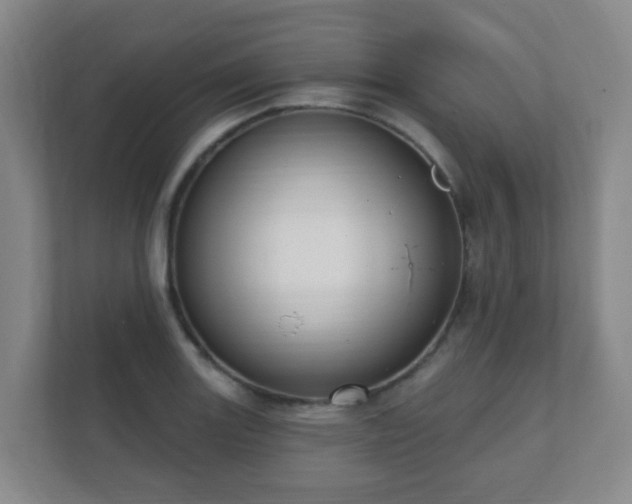 X0000112391131200908201537