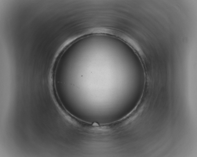 X0000112391133200908201537