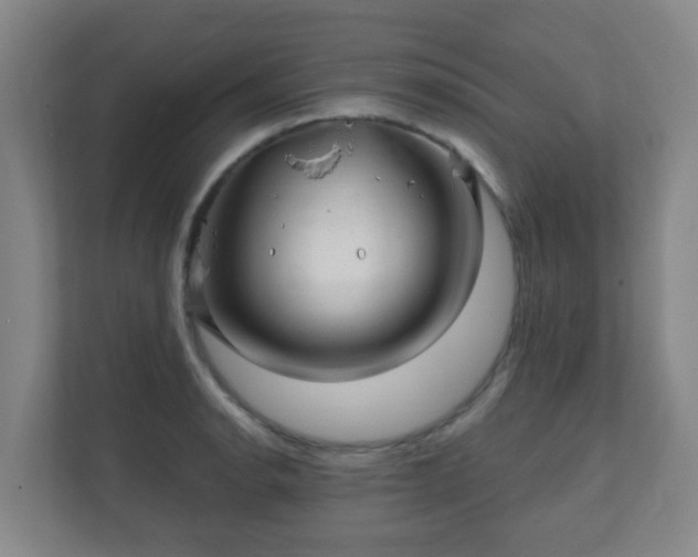 X0000112391134200908201537