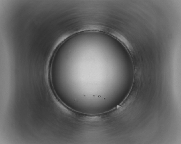 X0000112391135200908201537