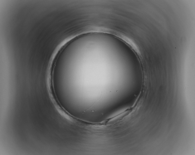 X0000112391136200908201537