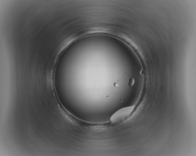 X0000112391137200908201537