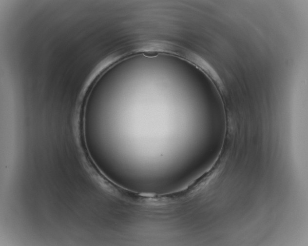 X0000112391138200908201537