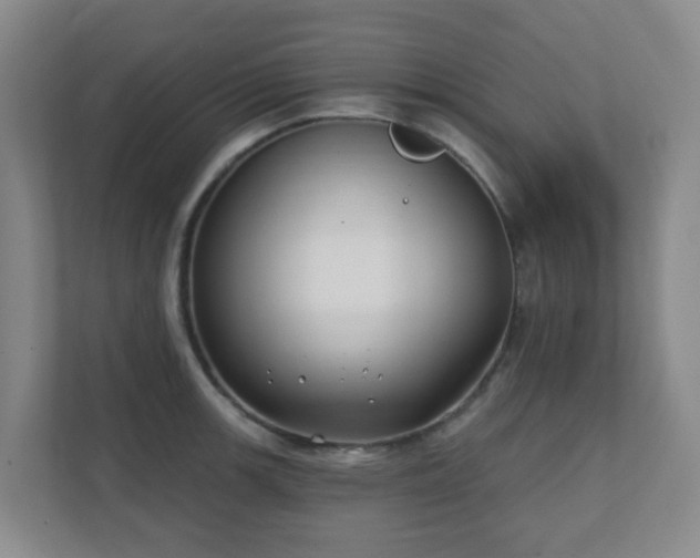 X0000112391139200908201537