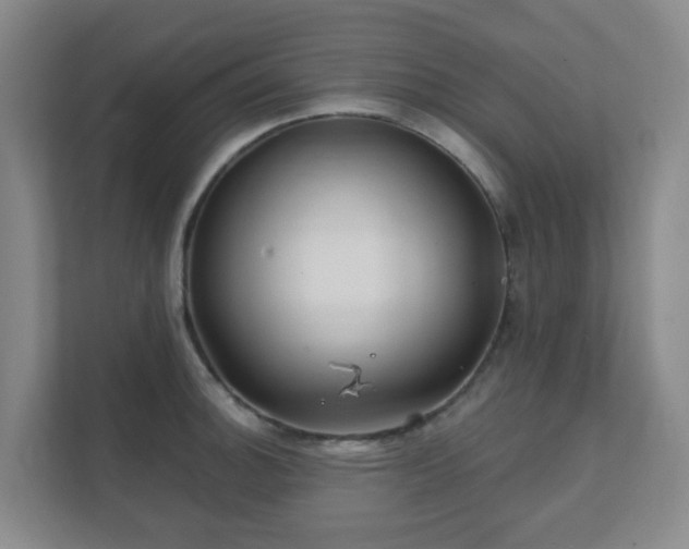 X0000112391140200908201537