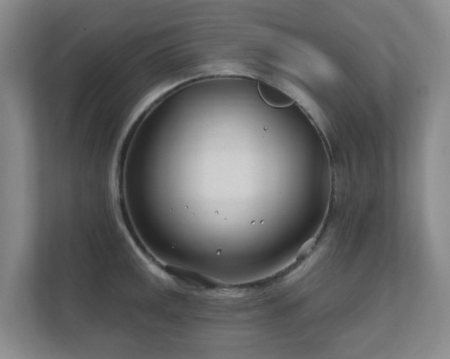 X0000112391141200908201537