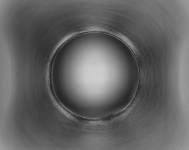 X0000112391142200908201537