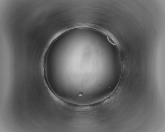 X0000112391143200908201537