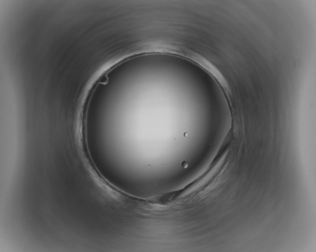 X0000112391144200908201537