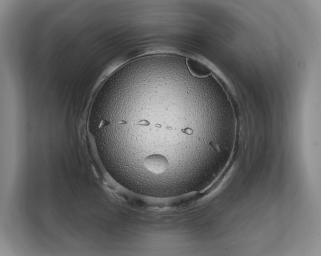 X0000112391145200908201537