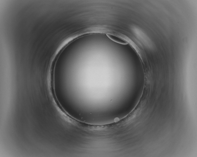 X0000112391147200908201537