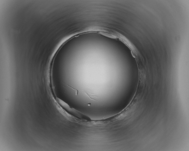 X0000112391148200908201537