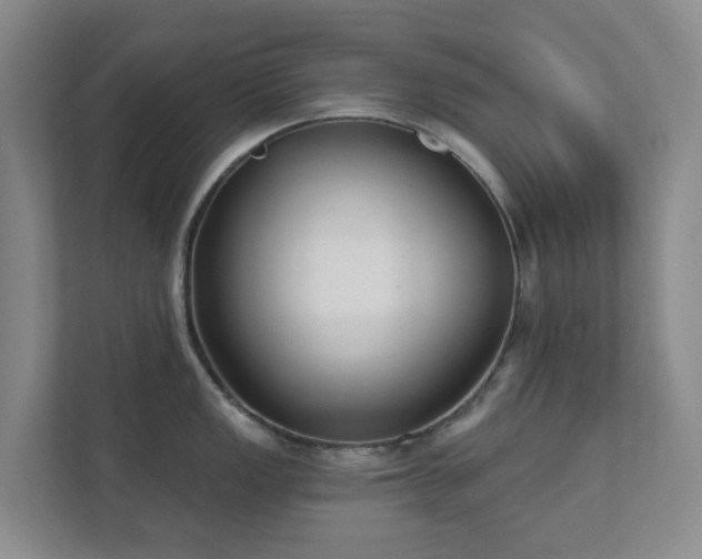 X0000112391149200908201537