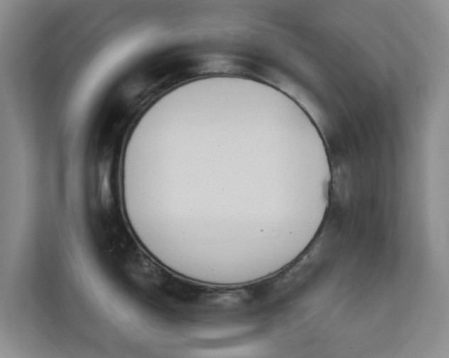 X0000112391150200908201537