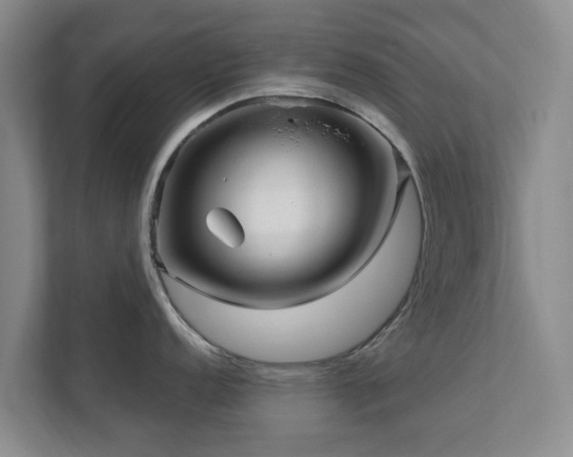 X0000112391152200908201537