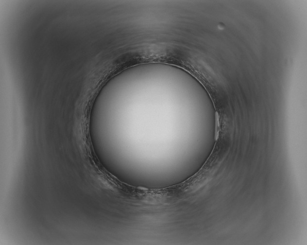 X0000112391153200908201536