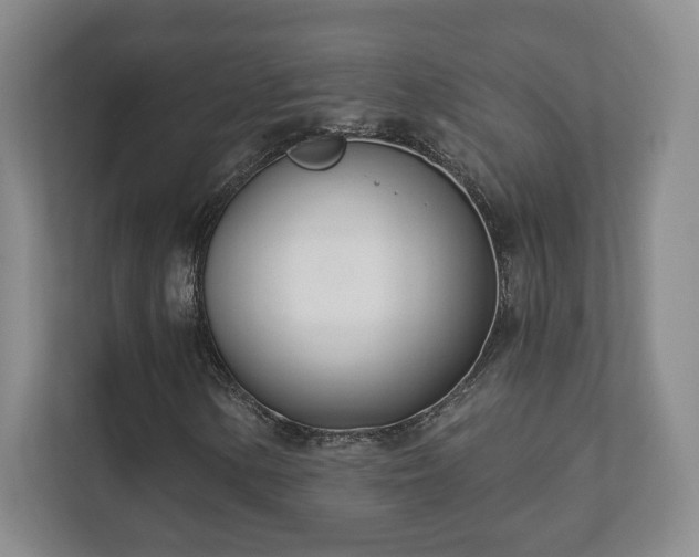 X0000112391154200908201536