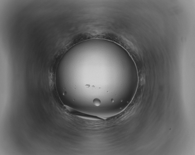 X0000112391156200908201536