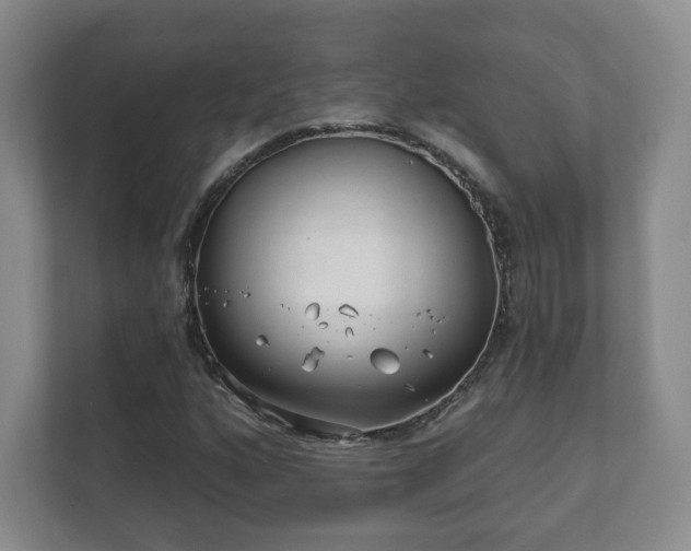 X0000112391160200908201536