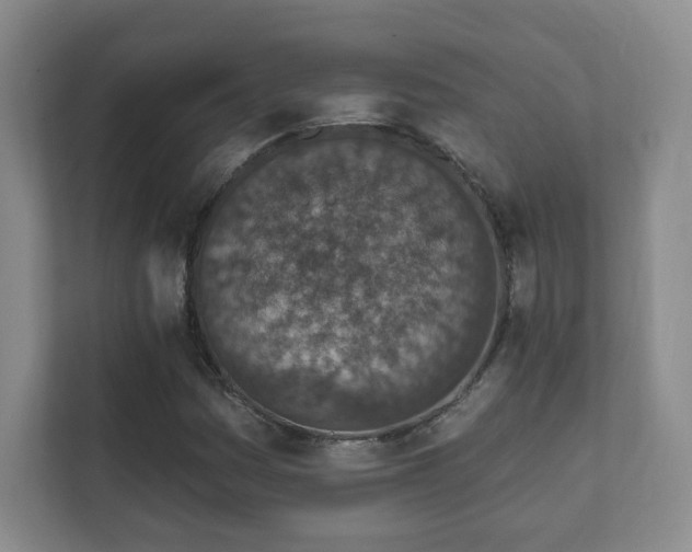 X0000112391161200908201536