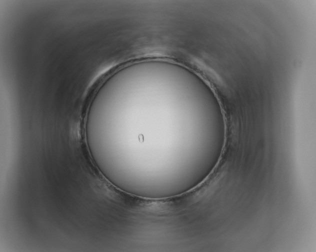 X0000112391166200908201536