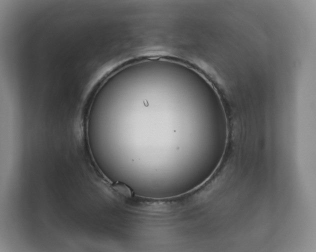 X0000112391167200908201536