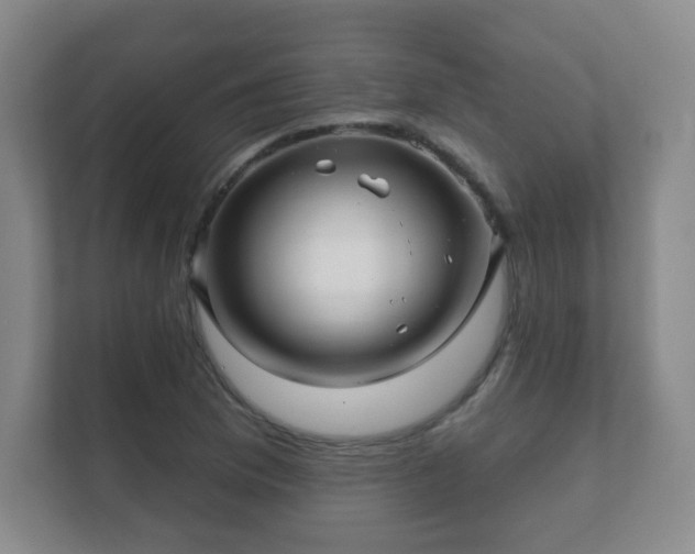 X0000112391169200908201536