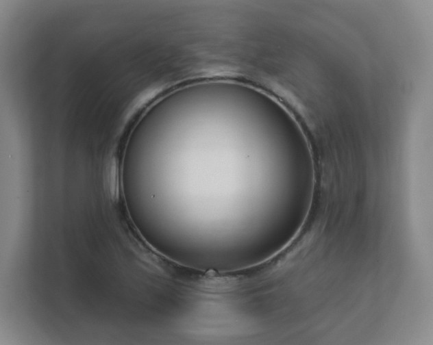 X0000112391171200908201536