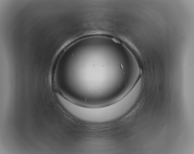 X0000112391173200908201536