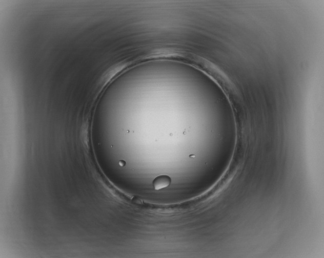 X0000112391177200908201536