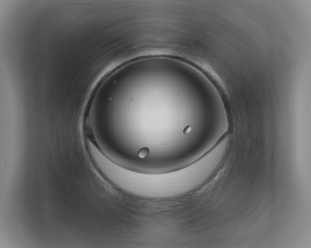 X0000112391181200908201536