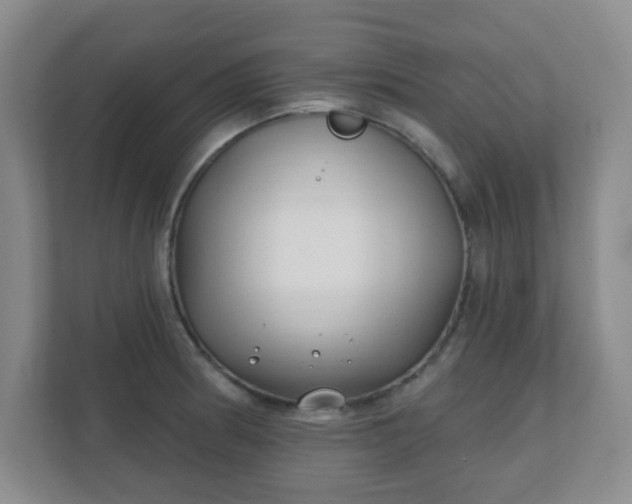 X0000112391186200908201536